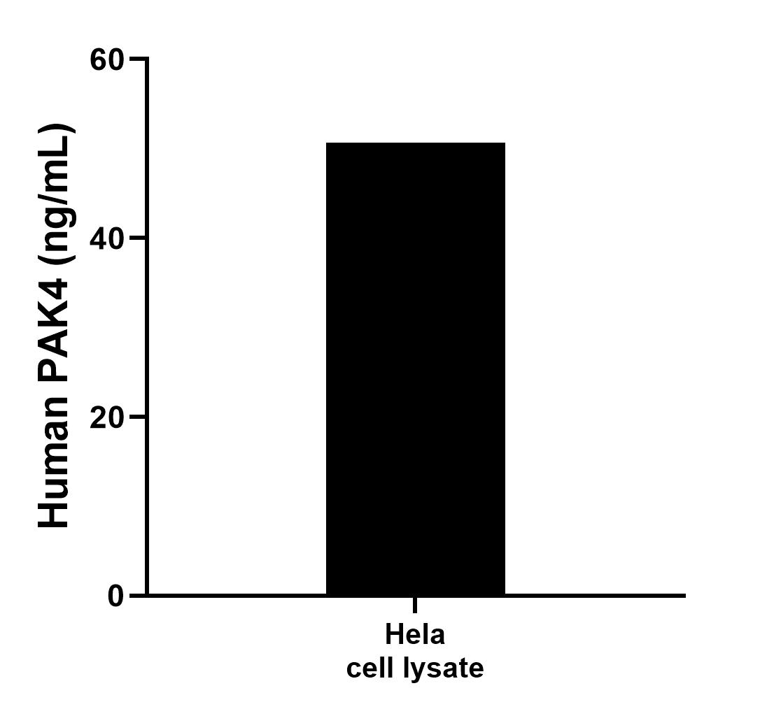 Sample test of MP00743-3